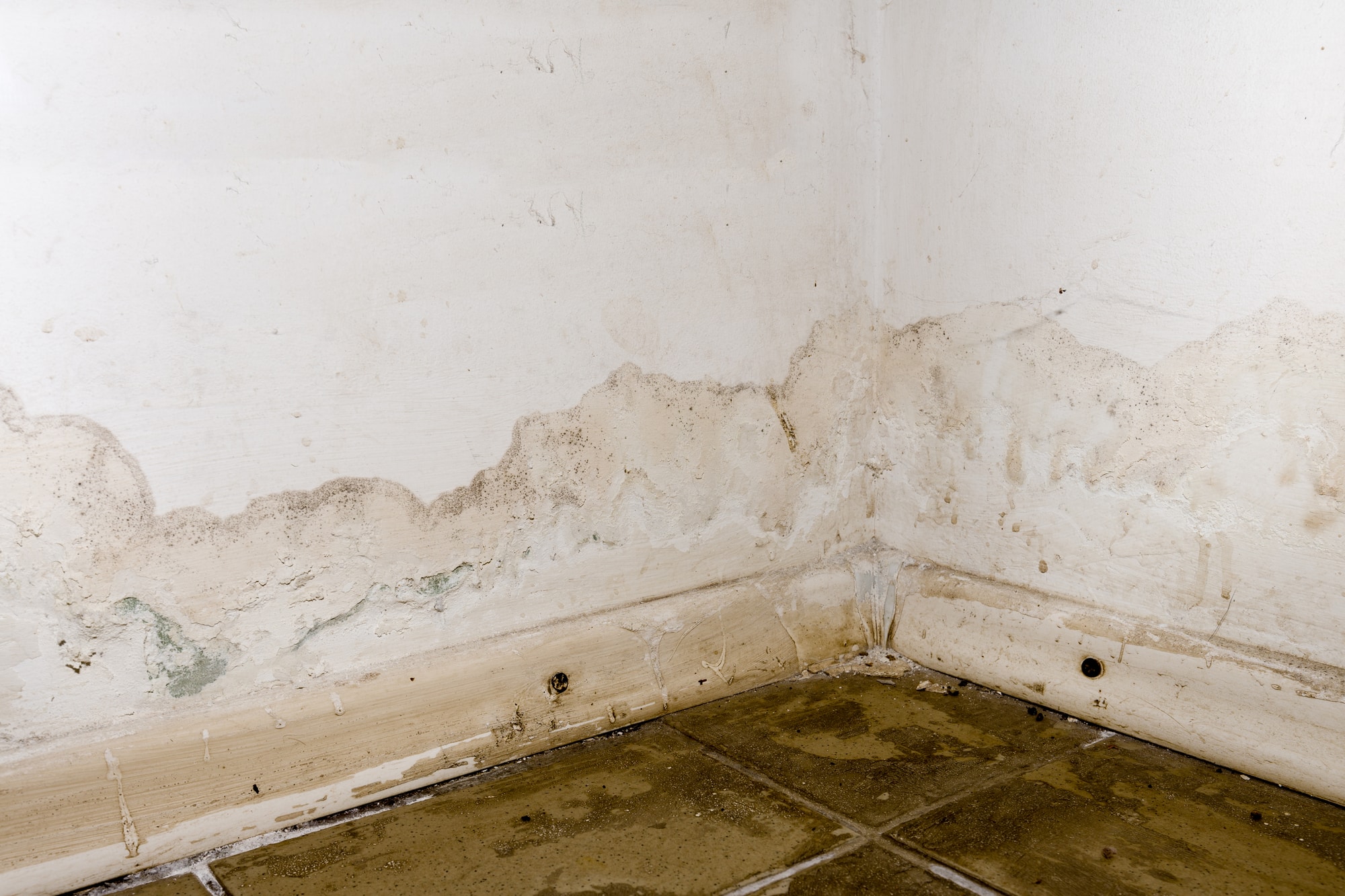 Water damage on baseboards and drywall