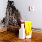 How To Get Rid of Mold (the Right Way)