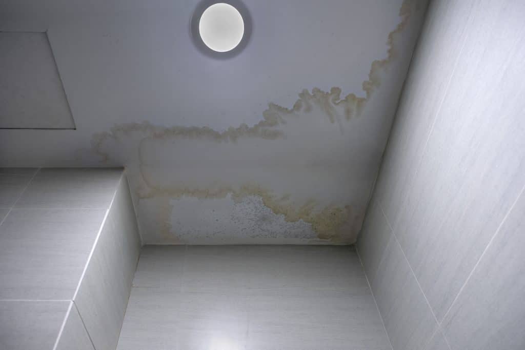 Mildew stains on the ceiling are a sign of a roof leak