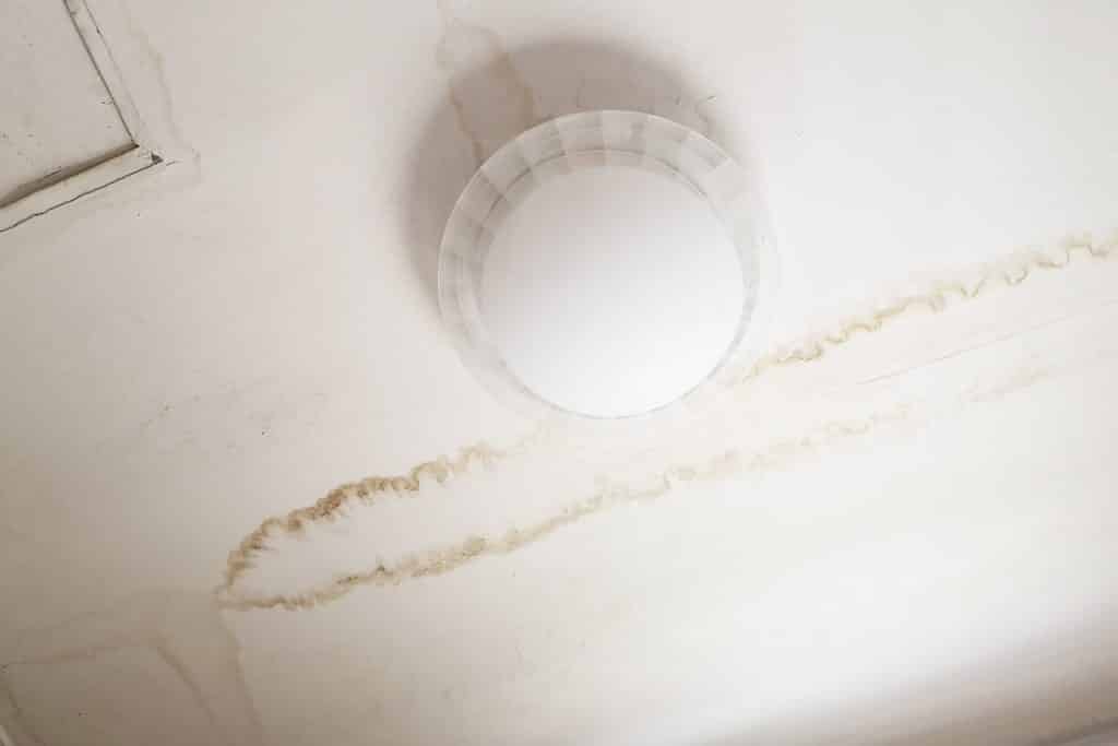 brown water damage stains on ceiling