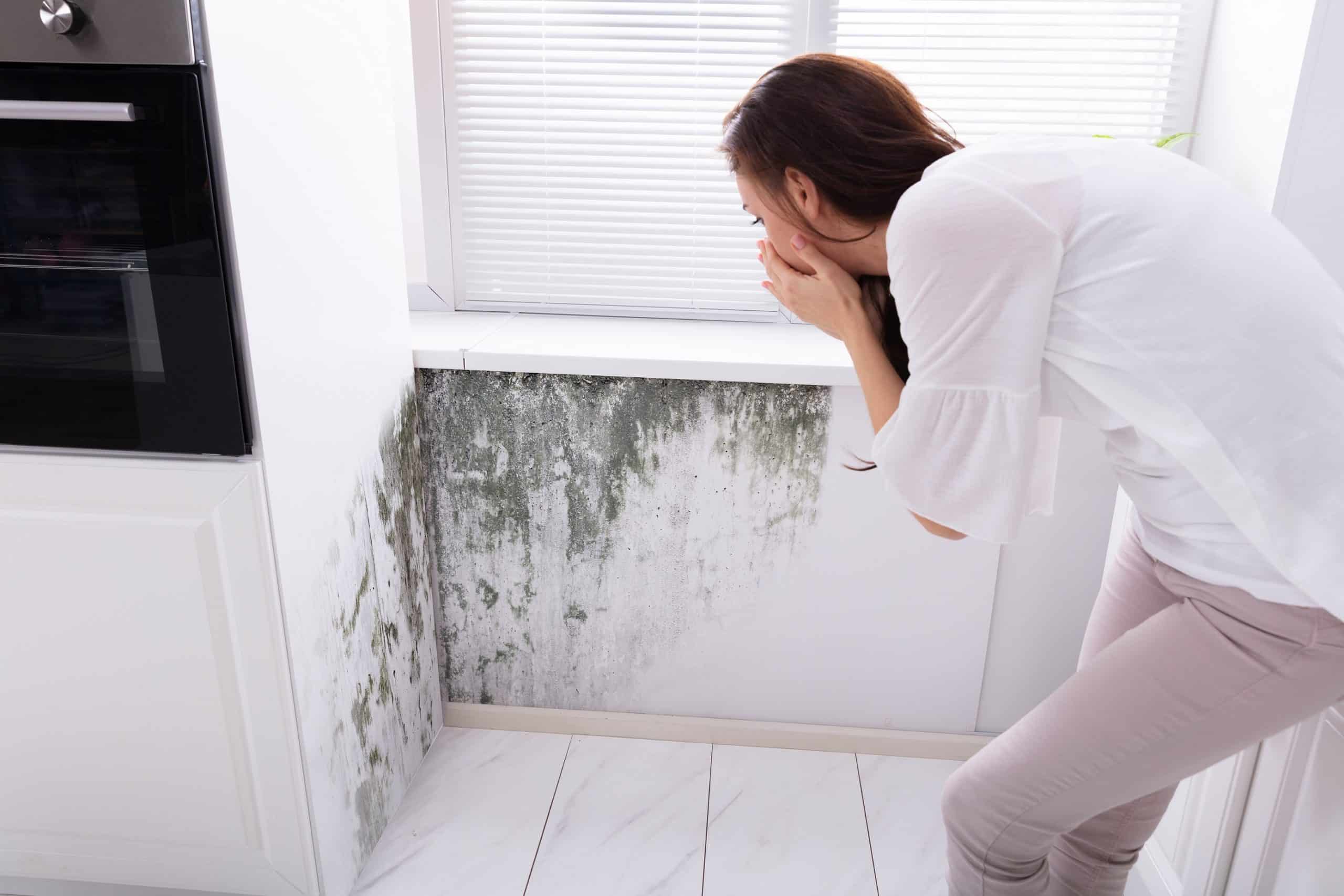 A woman gasps as she sees mold under a window sill in her kitchen.