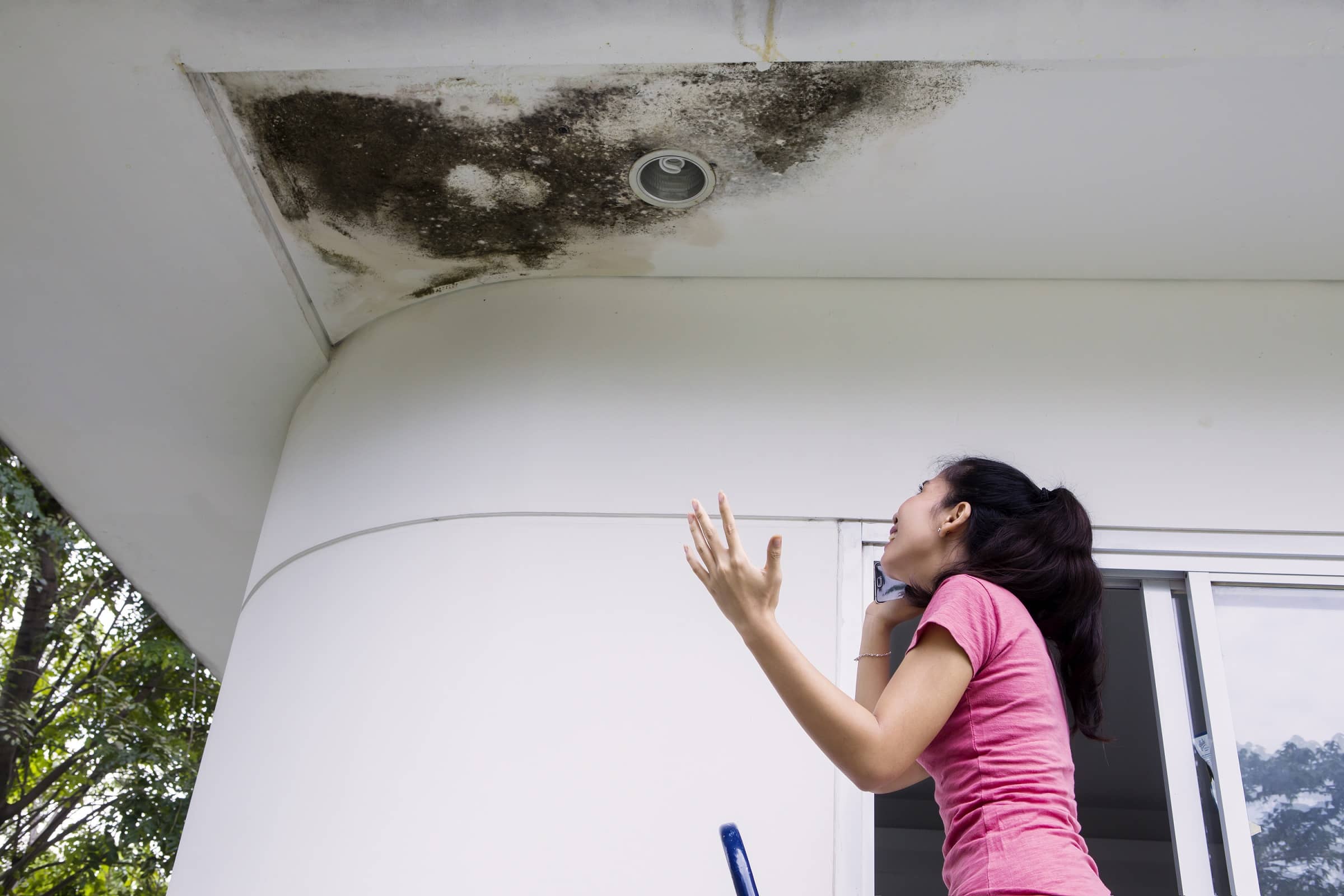 A woman is on the phone with her insurance agent while looking at mold growth in her home.