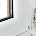 Signs of Mold In Your Home