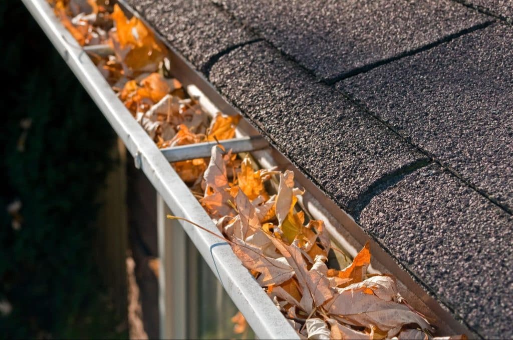 a home gutter full of leaves which can cause water damage