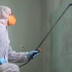 Who Pays For Mold Remediation?
