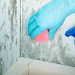 When Is Mold Remediation Required?